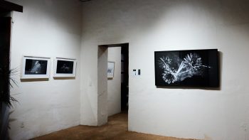 mo_oax20-20