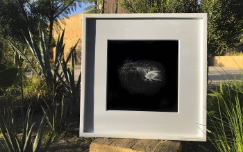 mo_prints-15