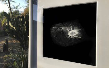 mo_prints-16