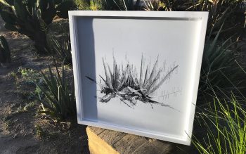 mo_prints-19