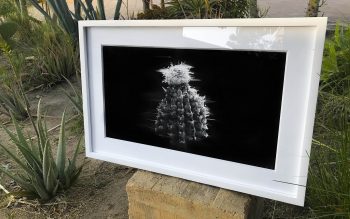 mo_prints-34