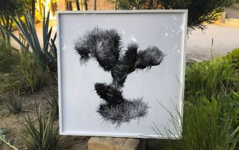 mo_prints-45