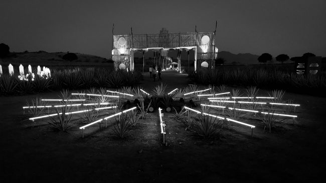 ciclo-12_w
