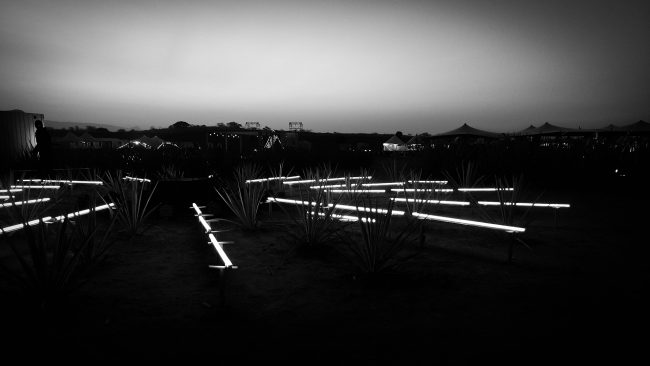 ciclo-13_w