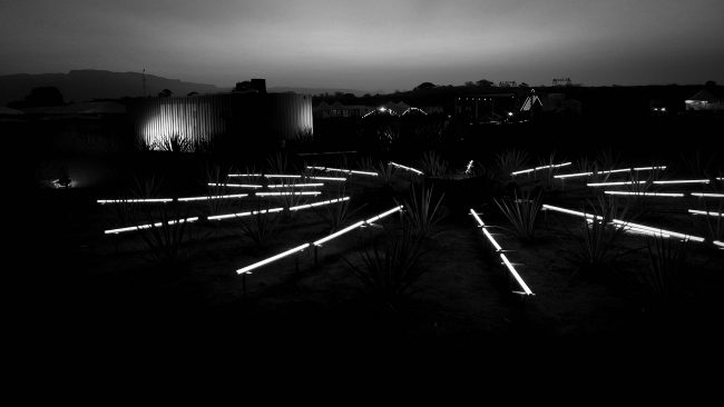 ciclo-16_w