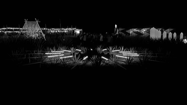 ciclo-6_w