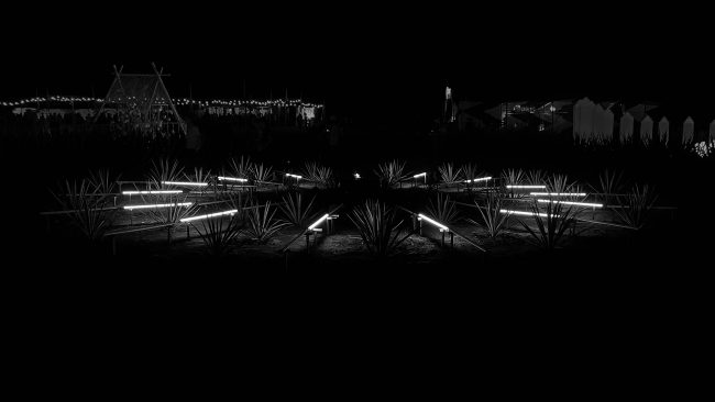 ciclo-7_w