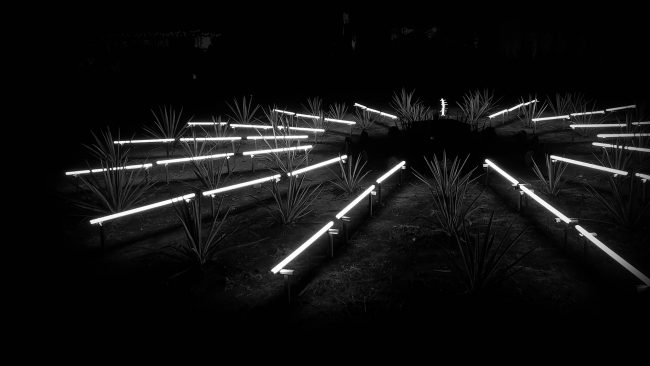 ciclo-9_w